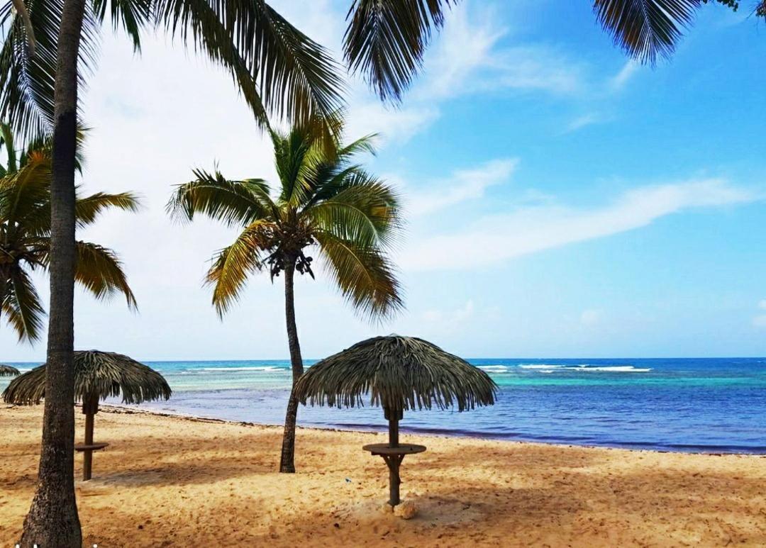 Le Ti'Paradise Anse Des Rochers Belle-Allée Exterior foto