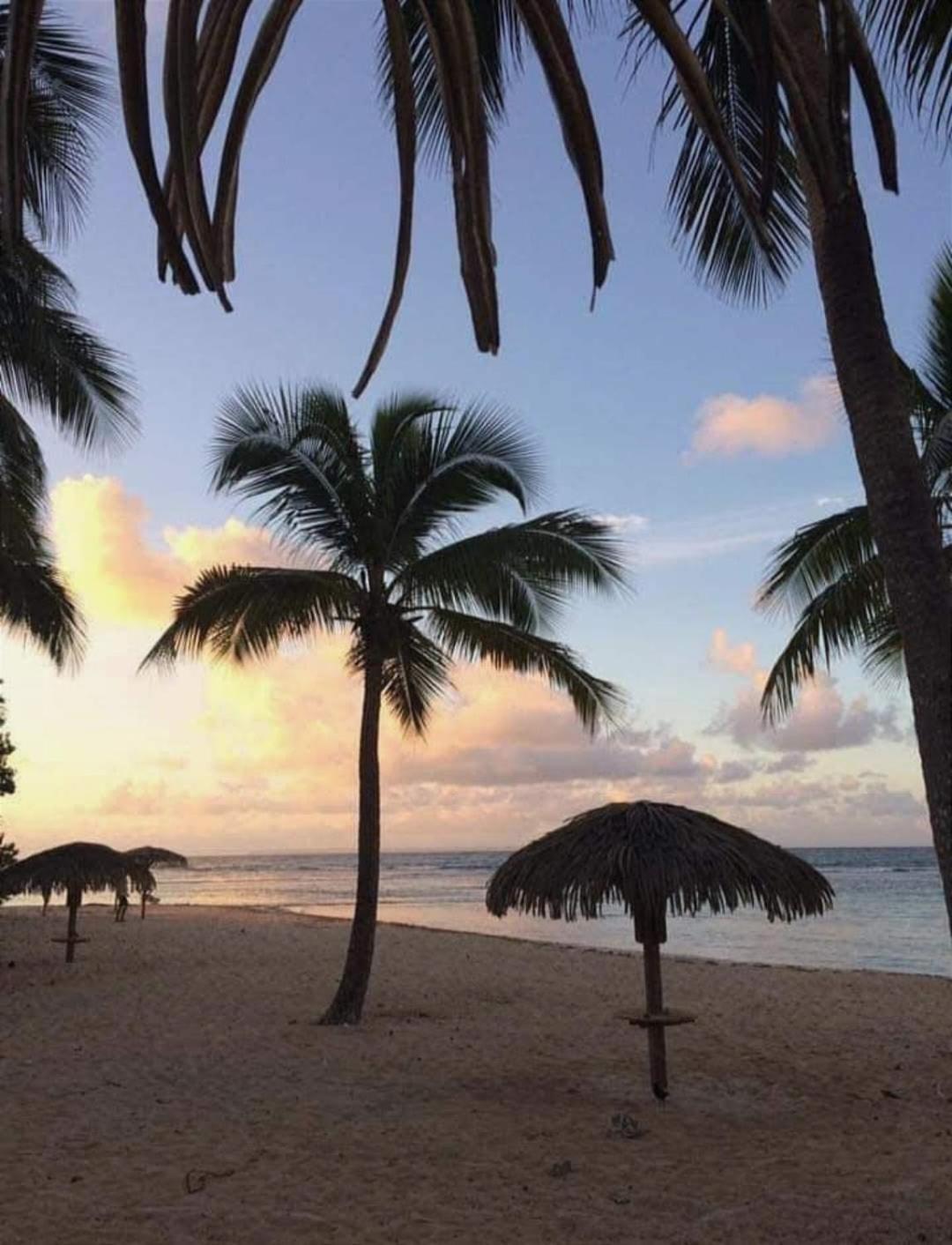 Le Ti'Paradise Anse Des Rochers Belle-Allée Exterior foto